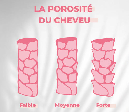 LA POROSITÉ DU CHEVEU