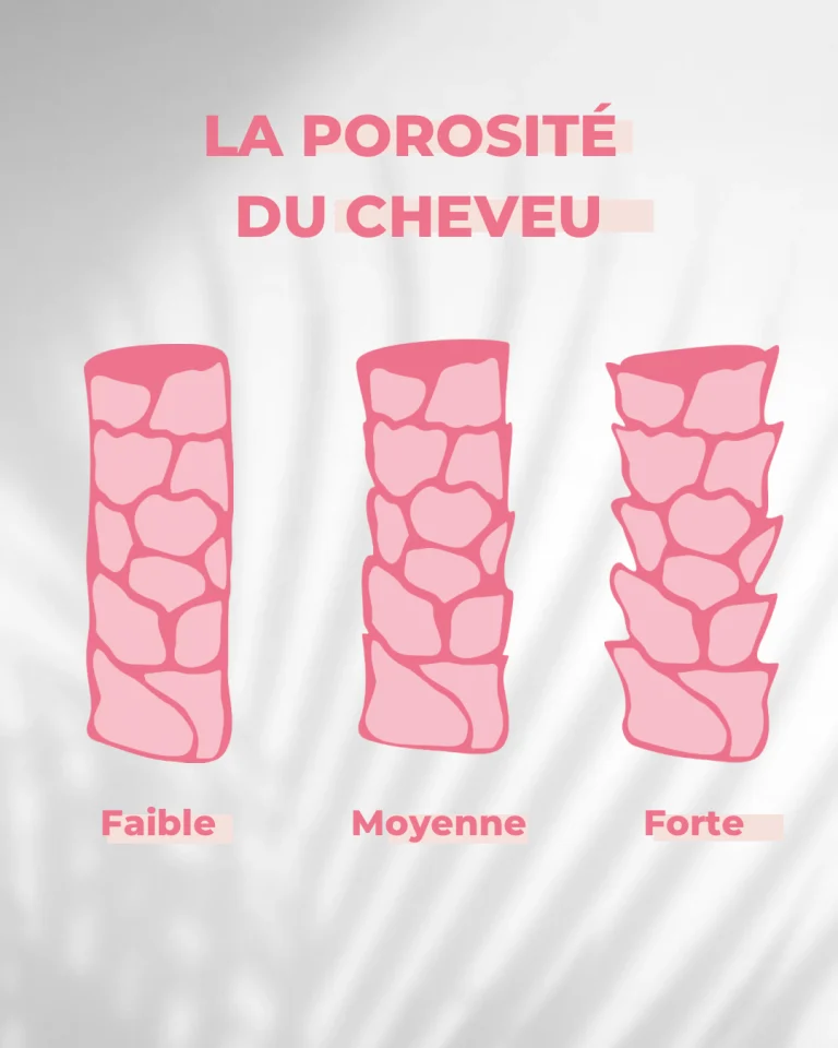 LA POROSITÉ DU CHEVEU